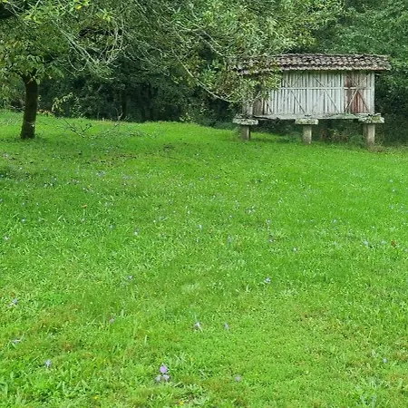 De 300 Anos Con Silencio Y Tranquilidad *