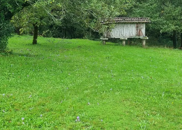 De 300 Anos Con Silencio Y Tranquilidad *